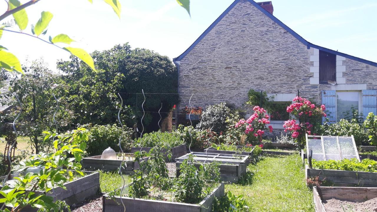 Bed and Breakfast La Longere Angevine Juigne-sur-Loire Exterior foto