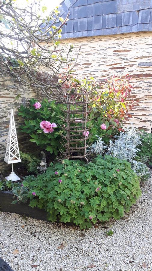 Bed and Breakfast La Longere Angevine Juigne-sur-Loire Exterior foto